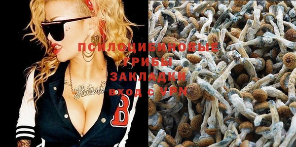 ПСИЛОЦИБИНОВЫЕ ГРИБЫ Белокуриха